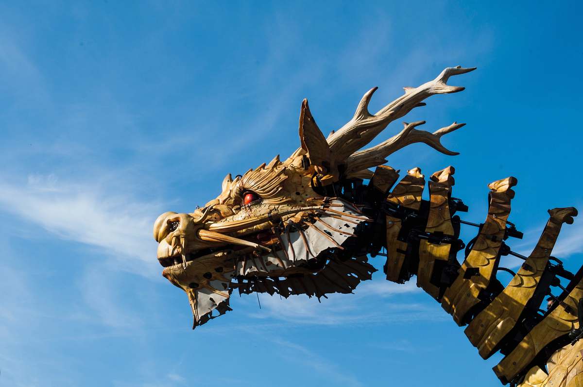 les machines de l'ile brown dragon decor francia